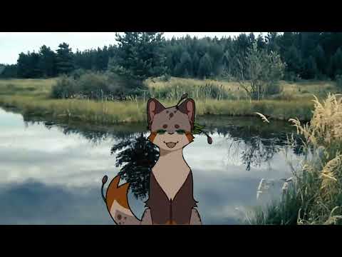 Видео: Теория: Звездоцап = хороший #кв