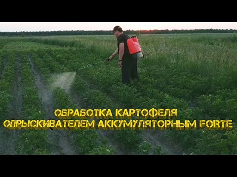 Видео: Обработка картофеля от колорадского жука аккумуляторным опрыскивателем FORTE