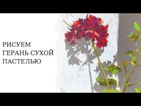 Видео: Рисуем цветы сухой пастелью | Как нарисовать герань пастелью  |  Уроки рисования сухой пастелью
