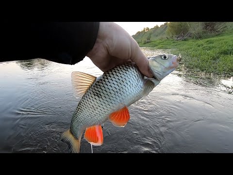 Видео: Перекат 2023. Начало.