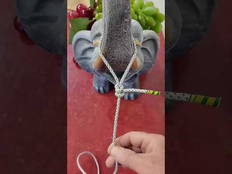 Видео: Мастер-класс по завязыванию узлов на верёвке.Эскимосская петля#shorts