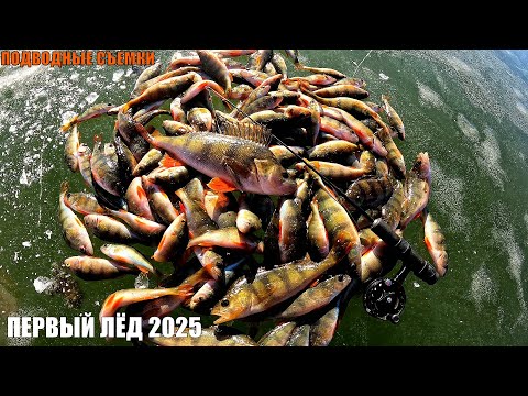 Видео:  ПЕРВЫЙ ЛЕД 2025-2026 и БЕШЕНЫЙ КЛЁВ РЫБЫ! ПОДВОДНЫЕ СЪЁМКИ!