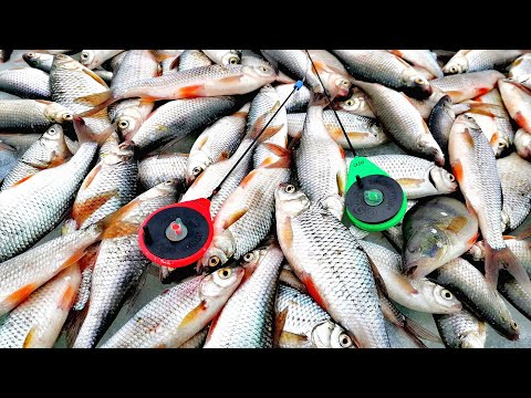 Видео: Жесть! Вот это тут рыбы! Последний лёд раздаёт! #сазан #плотва