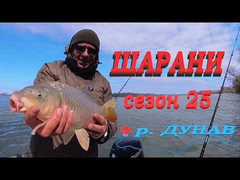 Видео: ДУНАВСКИ ШАРАНИ през МАРТ ! Wild carp fishing! Danube RIVER carp fishing ! Crapul de Dunăre!