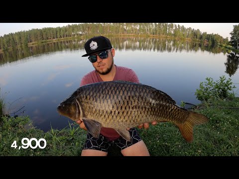 Видео: ЭКСПРЕСС ВЫЕЗД НА ALBERTA DIKI