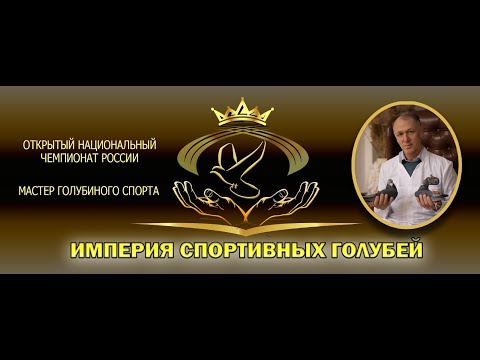 Видео: ИМПЕРИЯ СПОРТИВНЫХ ГОЛУБЕЙ
