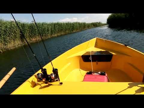 Видео: Лодка Нельма 370 на воде