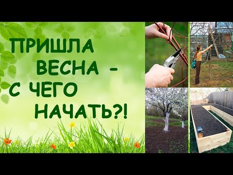 Видео: Пришла весна - с чего начать?! (Семинар)