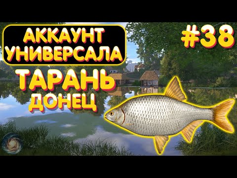 Видео: Аккаунт универсала #38 | ТАРАНЬ заклевала, но НЕ сразу... | р. Северский Донец | Русская Рыбалка 4