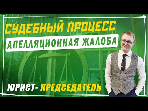 Видео: Апелляционная жалоба | Судебный процесс по взысканию задолженности в апелляции