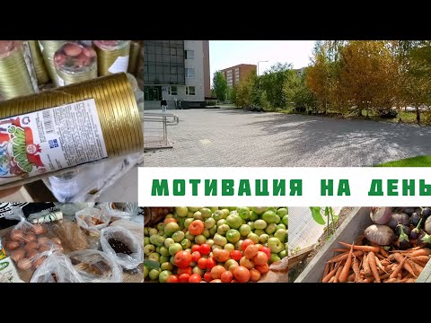 Видео: СЪЕЗДИЛА В ЦЕНТ КРОВИ🩸УБИРАЮ ОСТАТКИ УРОЖАЯ🌾МОТИВАЦИЯ👍