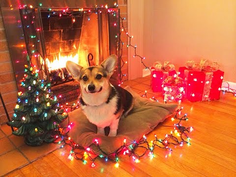 Видео: НЕВЕРОЯТНО! КУБОК МЦ R1FMABES, VERCH FATE ПРОТИВ 2.05