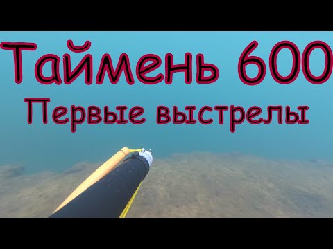 Видео: Тест подводного ружья Таймень 600