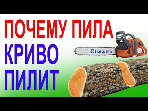 Видео: Миллионы бензопил криво пилят от этого. ТОП неисправностей  шины и цепи