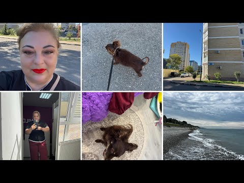 Видео: Влог с юга🐬Понедельник начался с Валдберис и Жозефинке кое-что перепало #wildberris #сочи