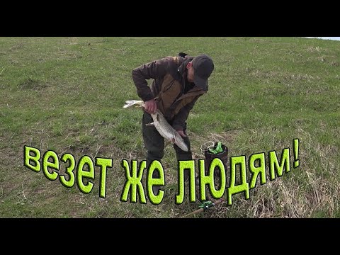 Видео: ЛОВИМ ЩУКУ и ЩУЧИЙ ГЛАЗ