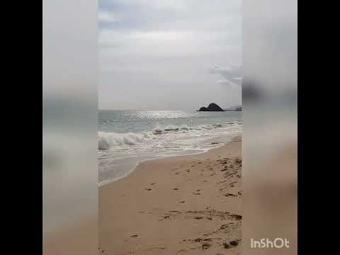 Видео: Краткий обзор Miramar al aqah beach resort Фуджейра.