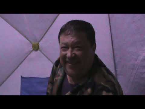 Видео: Братское водохранилище, зимний фидер