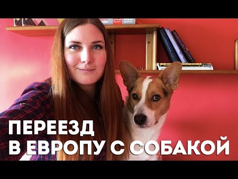 Видео: Всё про переезд с собакой в другую страну / Переезд с собакой в Венгрию