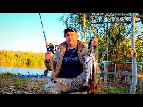 Видео: Ловля хищника в отвес сплавом по реке!!!