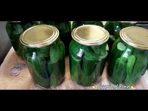 Видео: 🥒вкусненькие огурчики без травы🌱,для квартиры