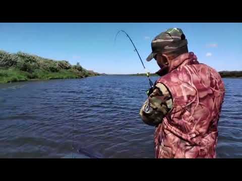 Видео: Рыбалка на Ишиме !! Охота на хищника !! СЛОВИЛИ МОНСТРА !! 1 часть