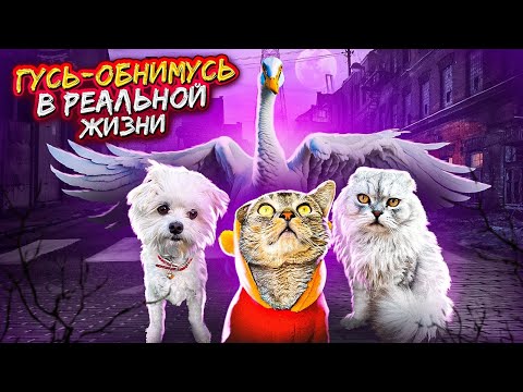 Видео: ГУСЬ-ОБНИМУСЬ В РЕАЛЬНОЙ ЖИЗНИ | КОШАЧЬЯ ИСТОРИЯ УЖАСОВ