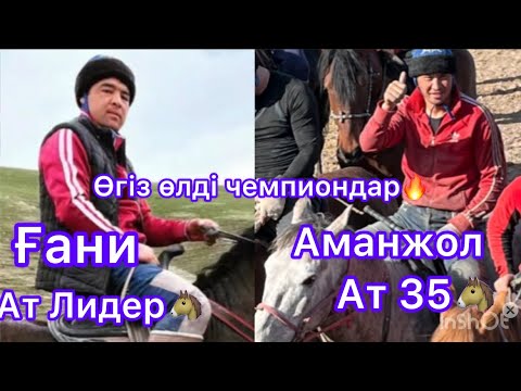 Видео: Алтынтөбе көкпары.Өгіз өлді салымдар. НЕДЕГЕН САЛЫМ😱🤩