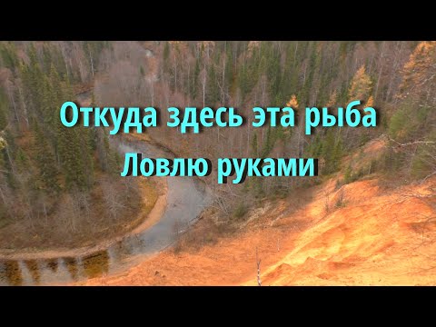 Видео: Один на реке.Рыбалка на хариуса ,поиск. Таежная речка.Ночевка в лесу. Рыбалка 2021.