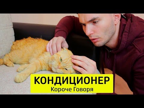 Видео: КОРОЧЕ ГОВОРЯ, КОНДИЦИОНЕР - ТимТим.