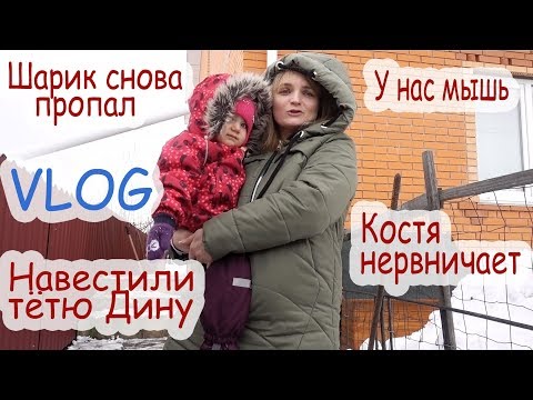 Видео: VLOG Шарик, ты балбес