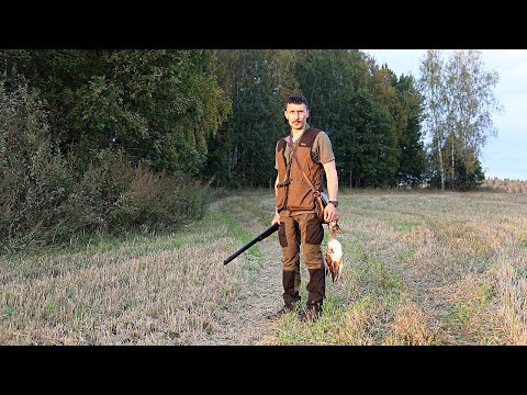 Видео: Бушкрафт, навыки приготовления пищи