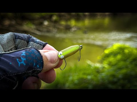 Видео: СТАВЛЮ ЭТУ ПРИМАНКУ и СРАЗУ ПОКЛЕВКА! / ПЕРВАЯ РЫБАЛКА НА ТОП ВОТЕРЫ ПО ГОЛАВЛЮ 2025