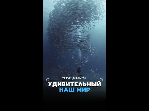 Видео: «Путешествия - это единственное, что делает Вас богаче за потраченные деньги»