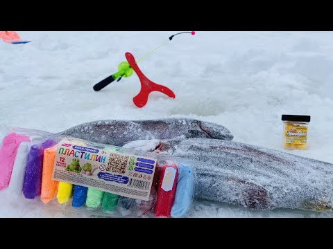 Видео: ЛОВЛЮ НА ПЛАСТИЛИН Клюет только так Бюджетная приманка косит форель