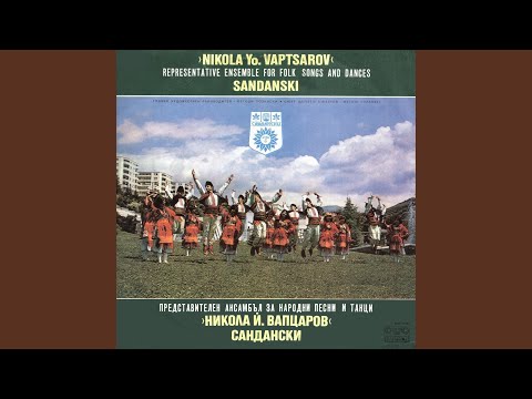 Видео: Море пиле