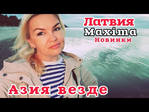 Видео: Maxima Стресс в Магазине ОНИ Зарабатывают на чужой КРОВИ   🫣 Миллион просмотров видео #рекомендации
