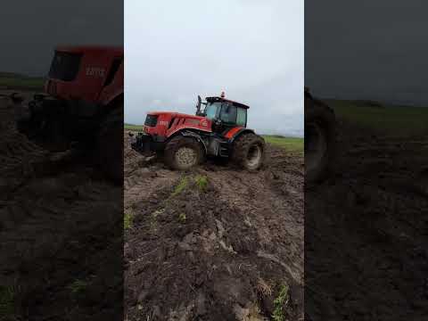 Видео: Весна 2023