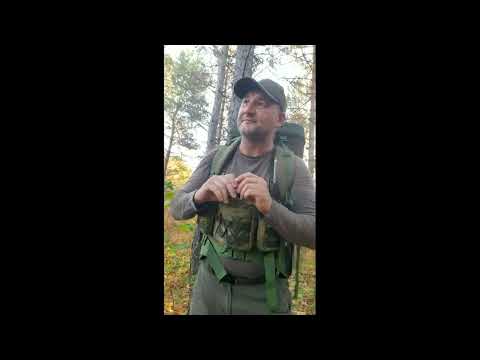 Видео: Важный совет ОХОТНИКАМ!#shorts