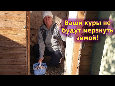 Видео: Курятник зимой без отопления. Почему мои куры не мерзнут!