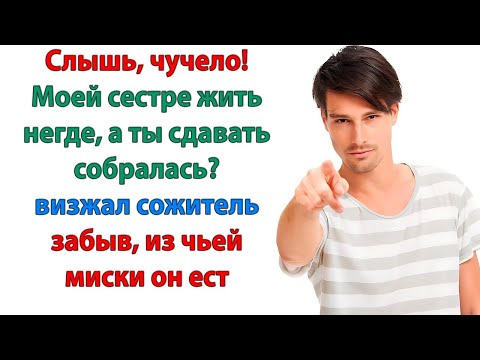 Видео: Тебе адрес гостиницы дать, свиная морда? Или сам найдёшь, где ночевать? семейная драма тупого мужа