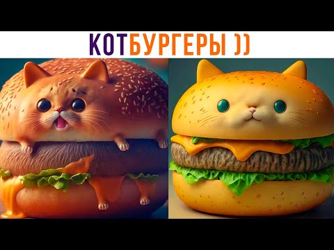 Видео: КОТБУРГЕРЫ ))) Приколы с котами | Мемозг 1200