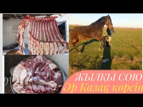 Видео: Жылқы сою/Соғым 2022.Жылқы етін жіліктеудің ұлттық-дәстүрлі әдісі.