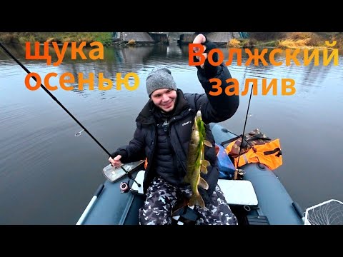 Видео: Ищем щуку в Волжском заливе