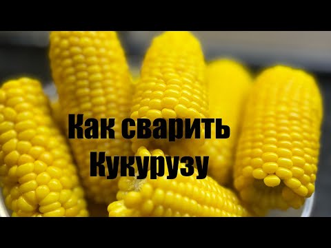 Видео: Как сварить кукурузу дома #готовимкукурузу #каксваритькукурузу