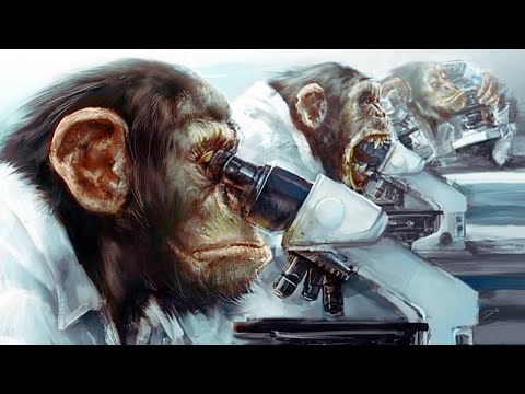 Видео: У Каких Животных Разум развит больше чем у Человека?