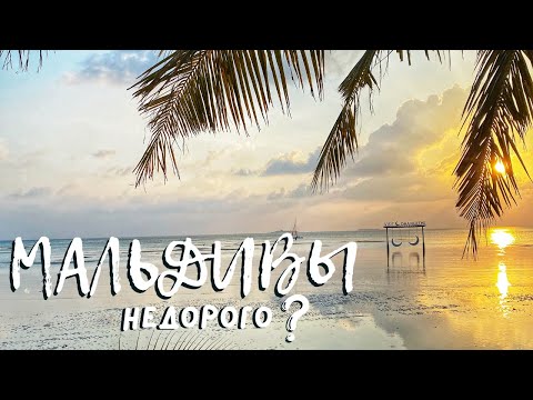 Видео: Мальдивы недорого? Остров Дангети. Бюджетный семейный отдых.