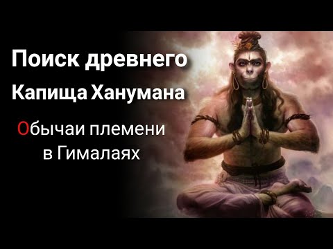 Видео: 🔴 Поиски древнего капища обезьяны Ханумана в Гималаях. Племенные обычаи. 3 сестры Дурги