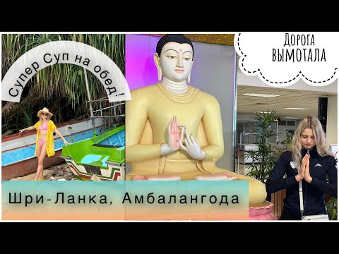 Видео: Первые впечатления о Шри-Ланке 🇱🇰 | номера без шкафов | Shangrela Beach Resort 🏨 | тяжелая дорога