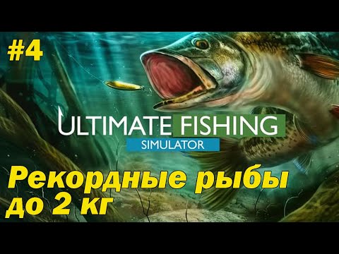 Видео: Ultimate Fishing Simulator "Рекорды рыб"